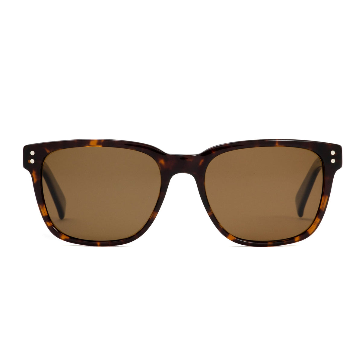 TEST OF TIME X - Eco Havana / Brown Polar