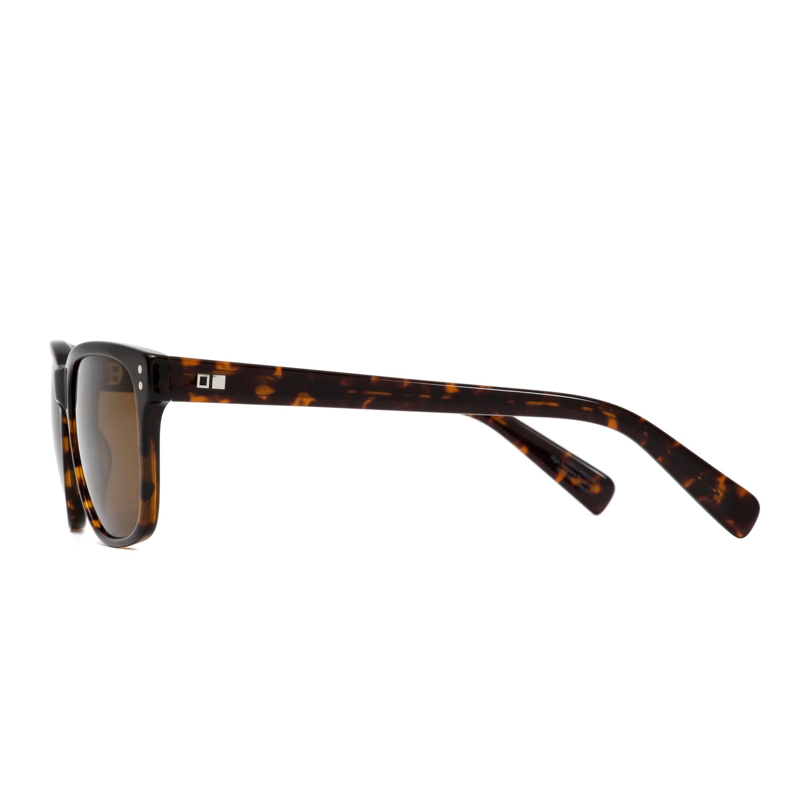 TEST OF TIME X - Eco Havana / Brown Polar