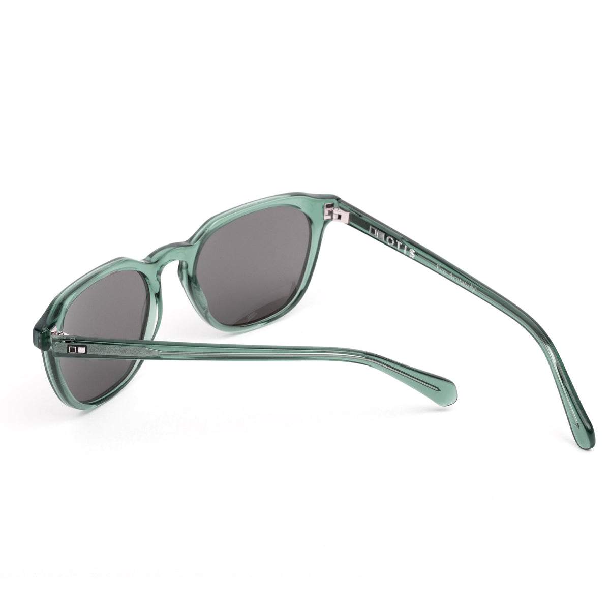 DIVIDE - Eco Crystal Foliage / Neutral Grey Polar