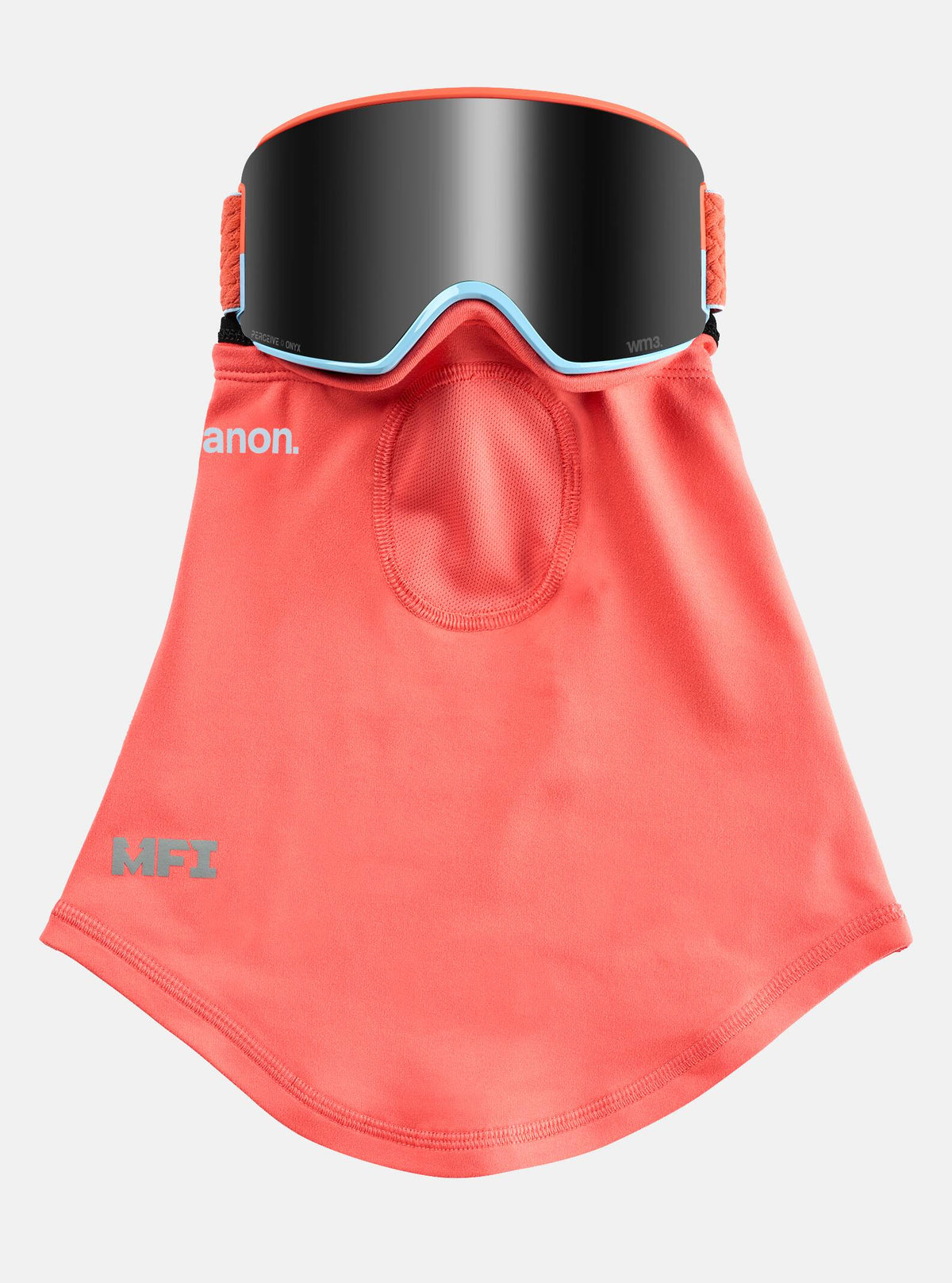 WM3 Snow Goggle