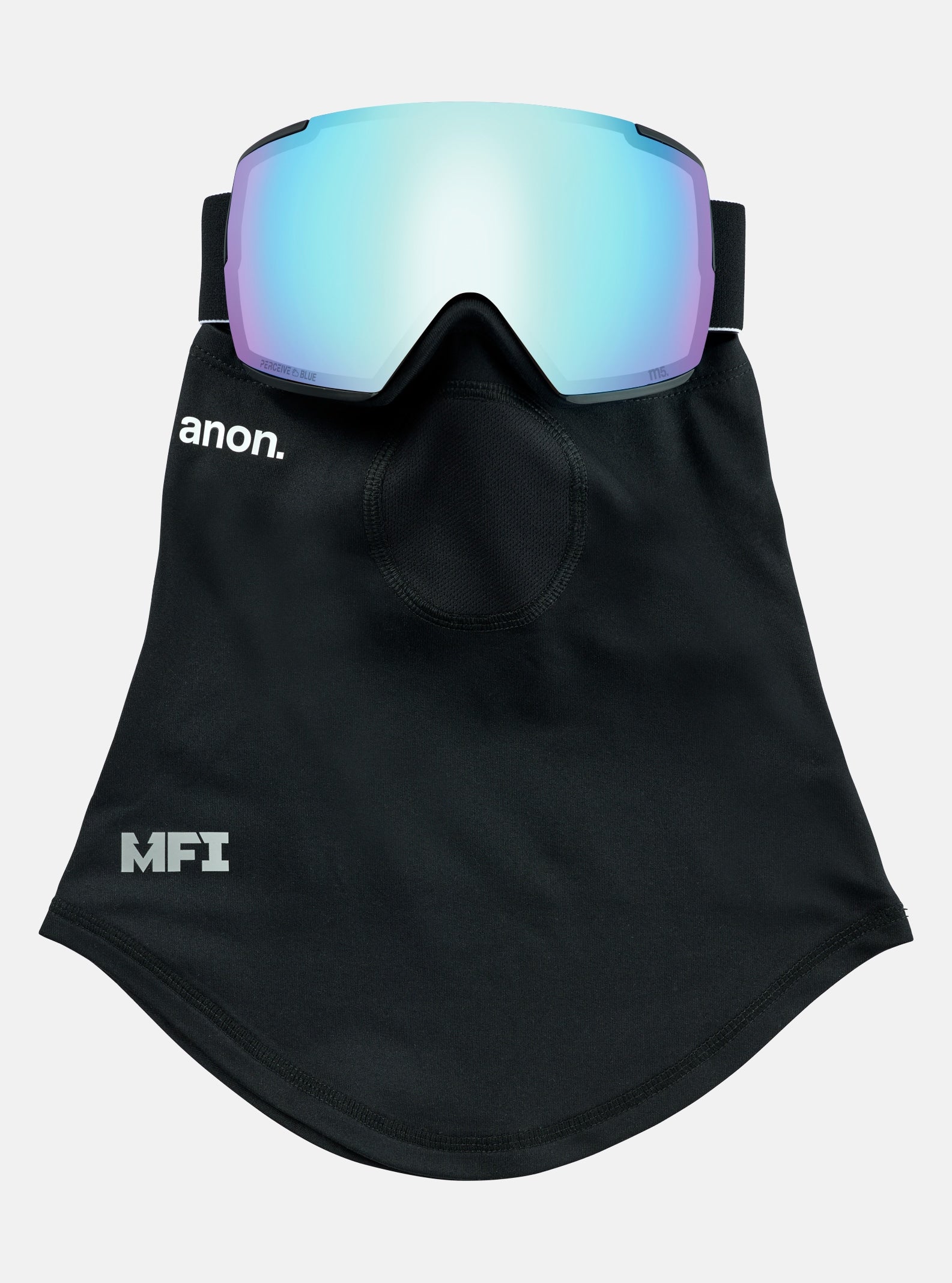 M5 Snow Goggle