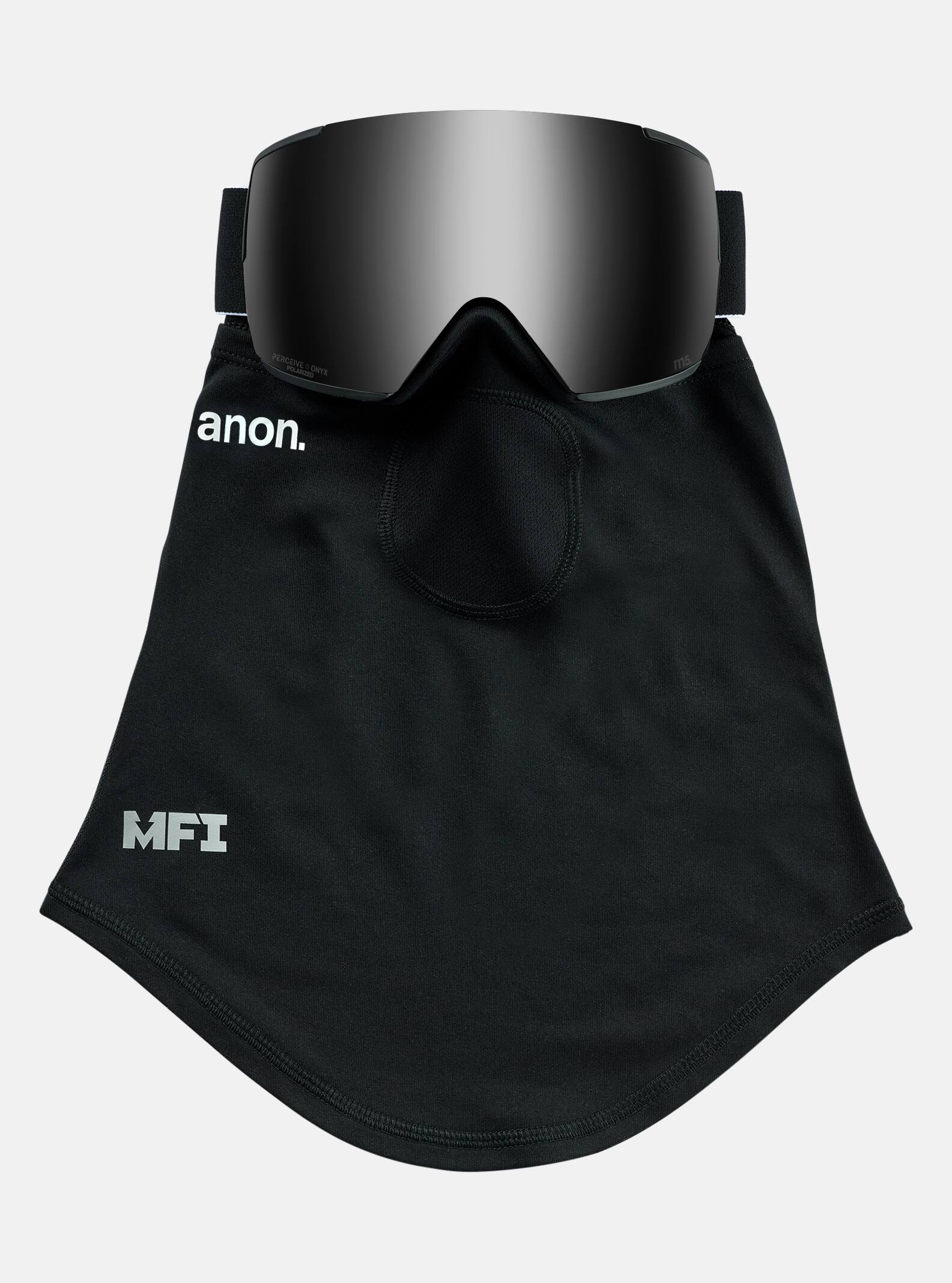 M5 Snow Goggle