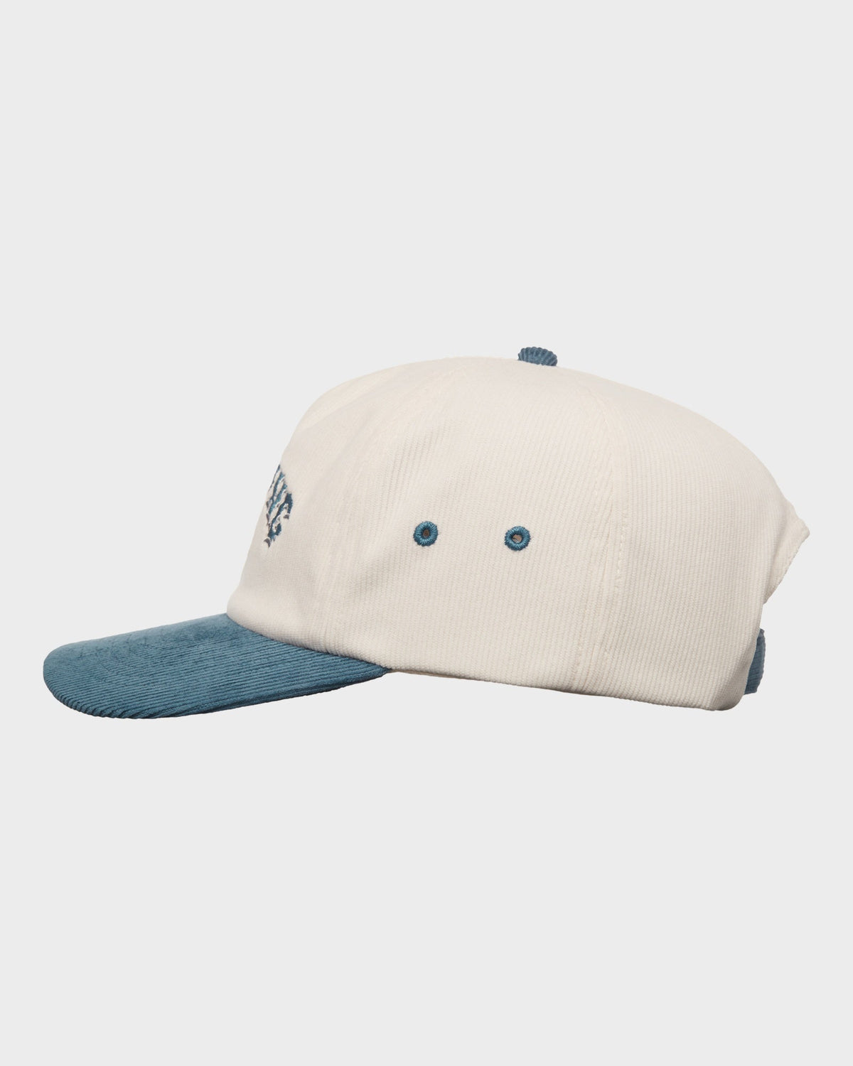 Mens Throwback Strapback Cap