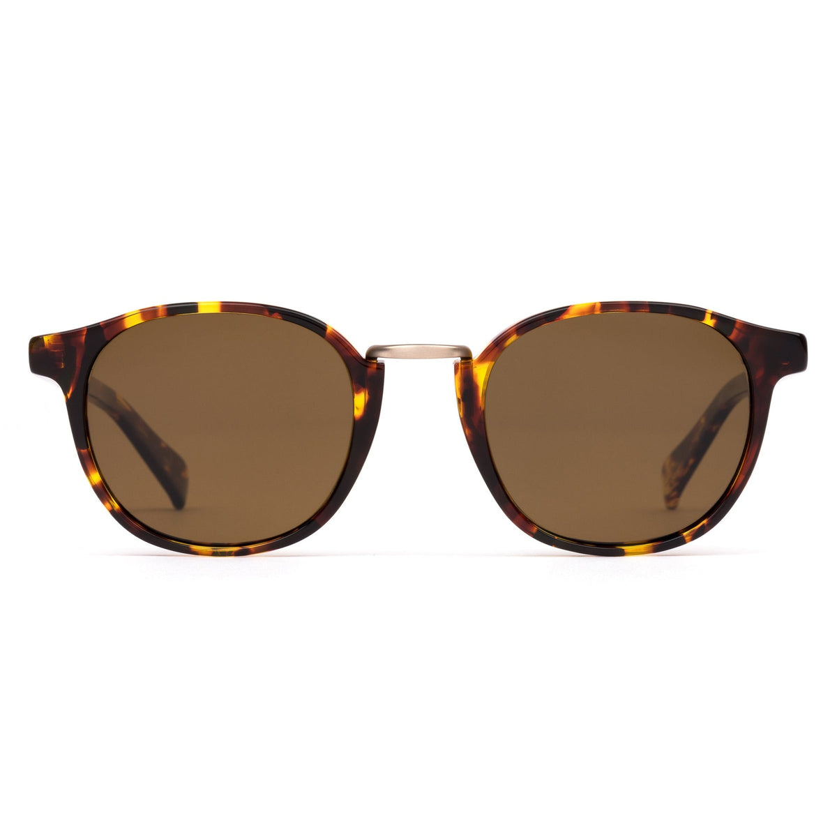 A DAY LATE - Eco Havana Sun / Brown Polar