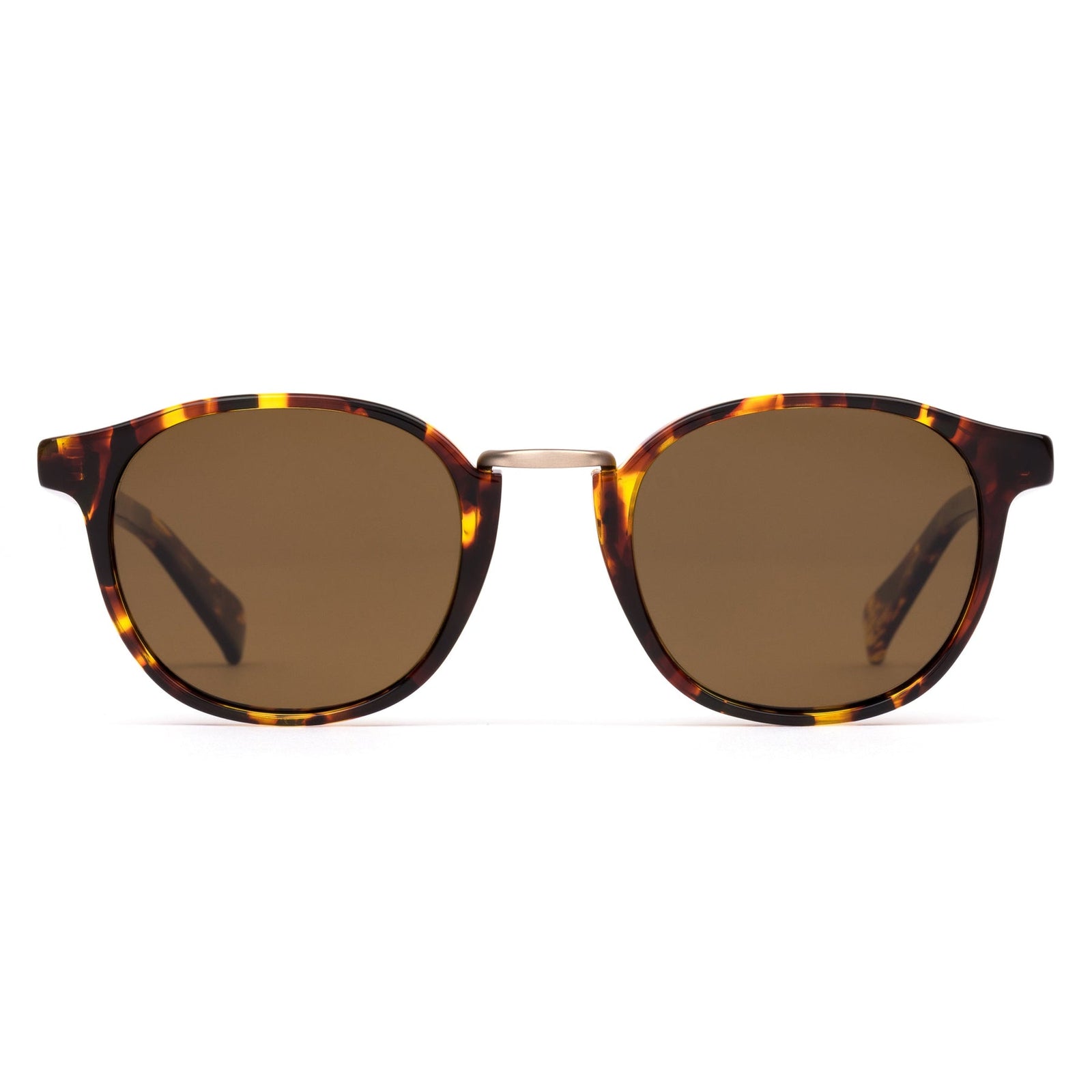 A DAY LATE - Eco Havana Sun / Brown Polar