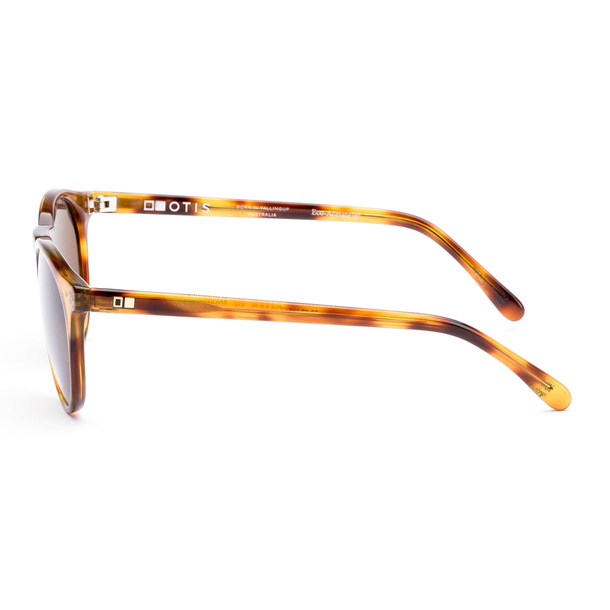 Omar - Eco Havana Zinnia / LIT Polar Brown