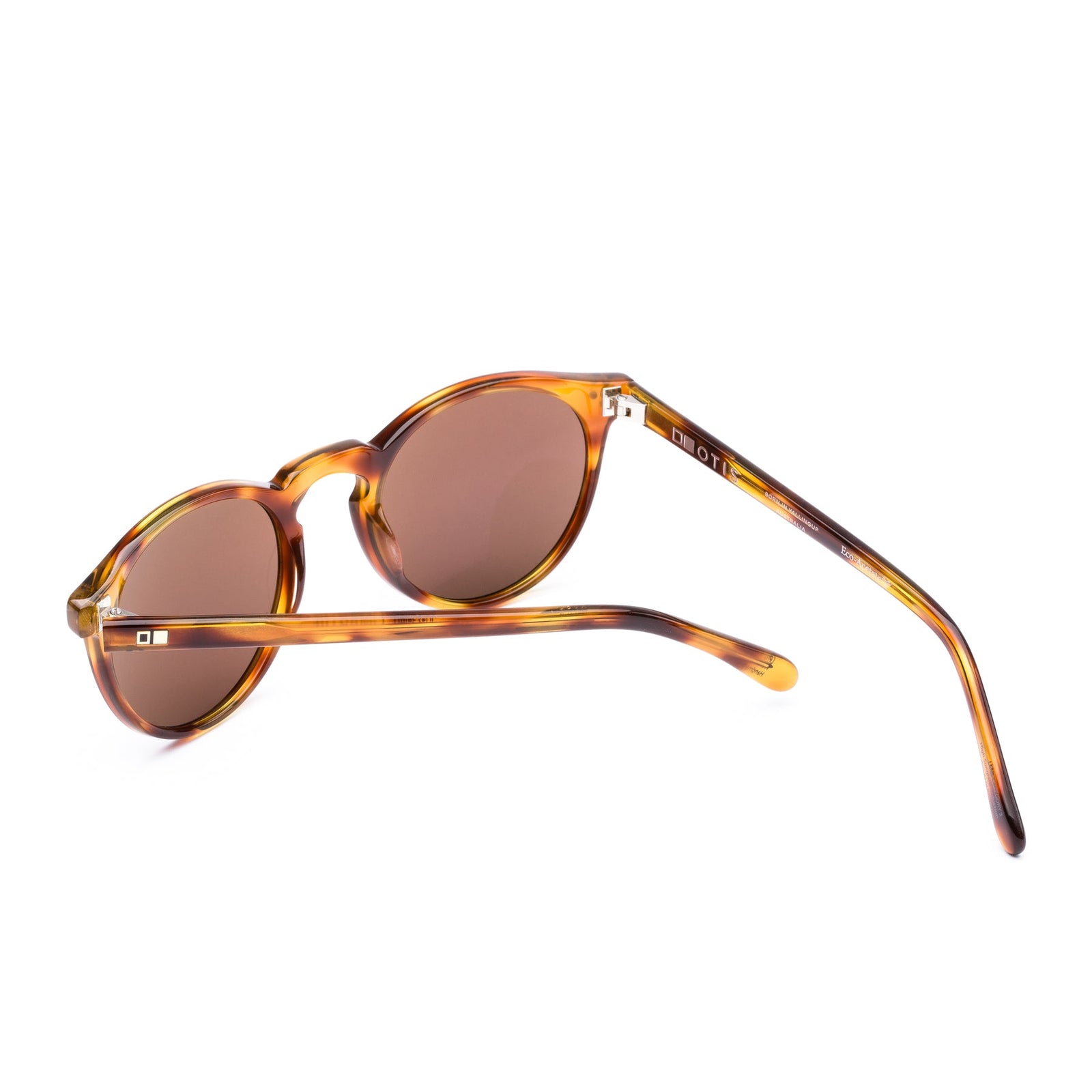 Omar - Eco Havana Zinnia / LIT Polar Brown