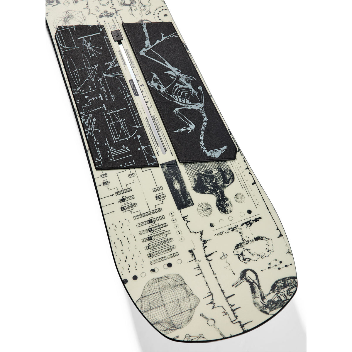 Rewind Zine Camber Snowboard