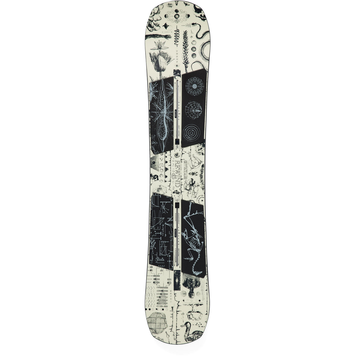 Rewind Zine Camber Snowboard