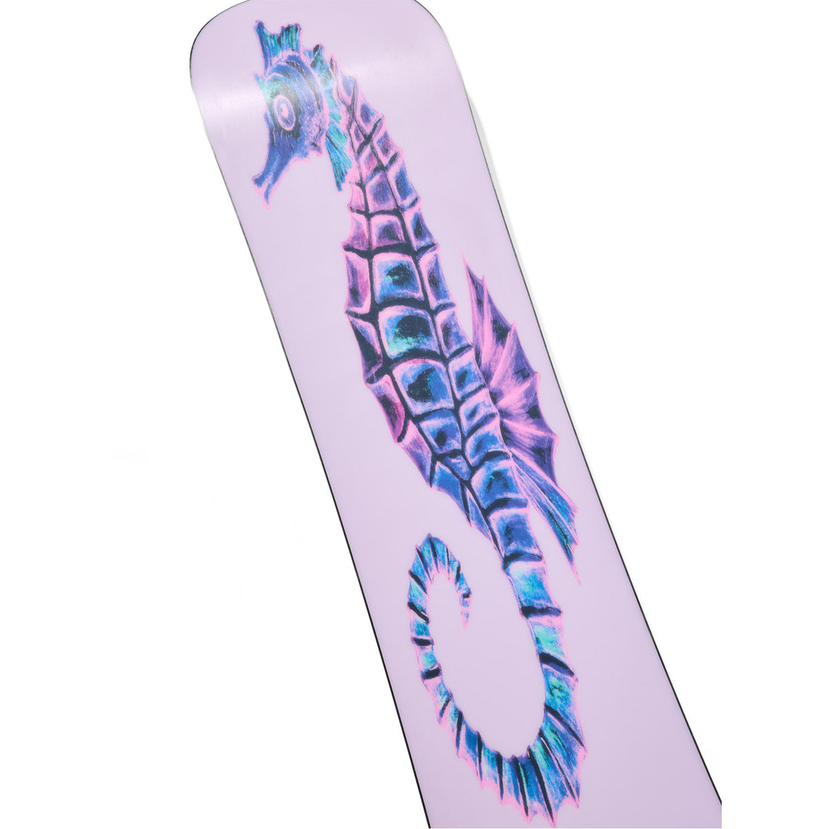 Blossom Seahorse Camber Snowboard