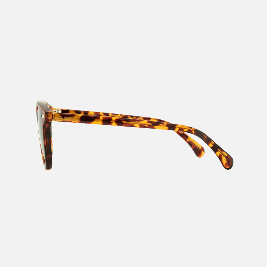 Oslo Gloss Tort Grey Lens - Image 4