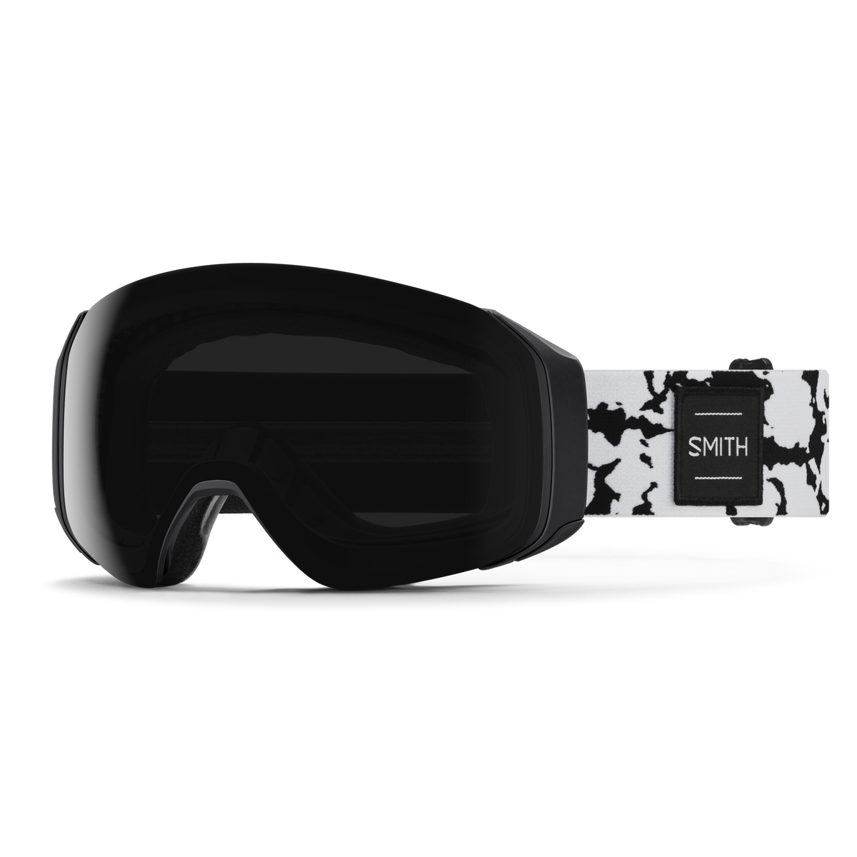 4D MAG S Snow Goggle