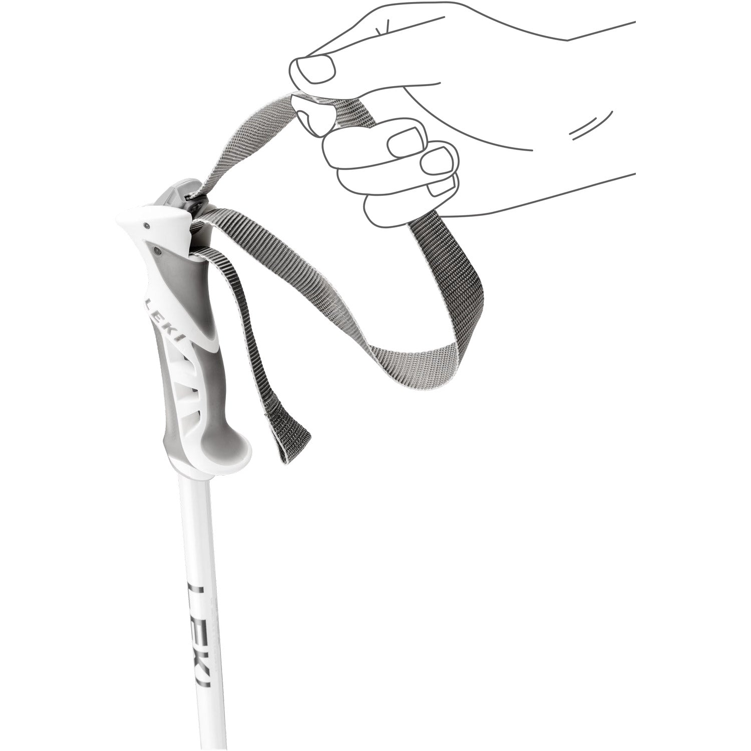 Bliss Ski Poles