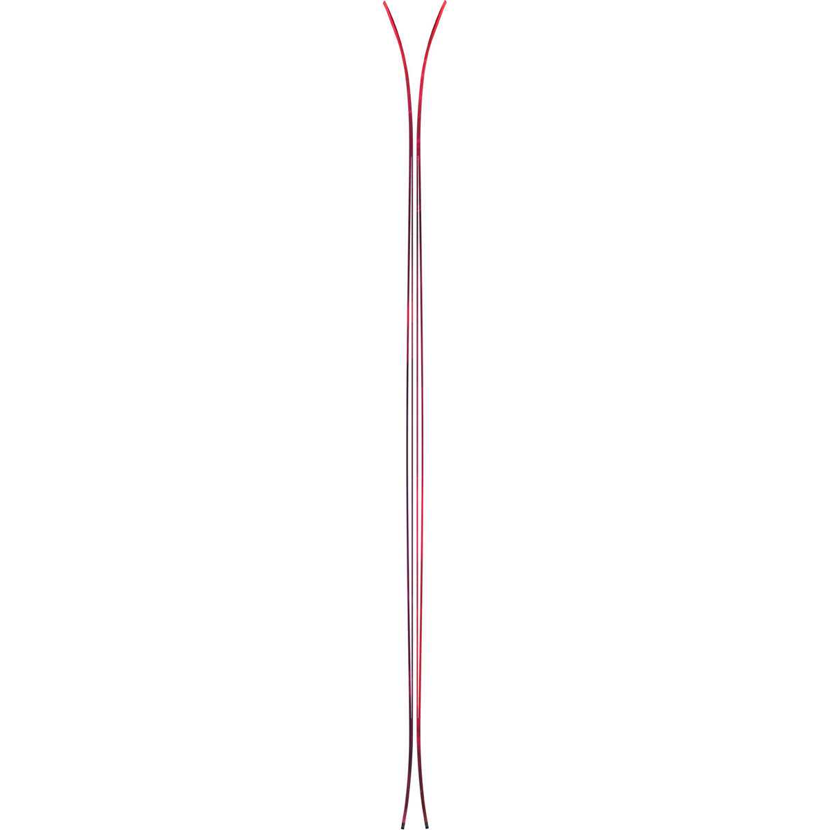 Maven 93 C Skis 2024
