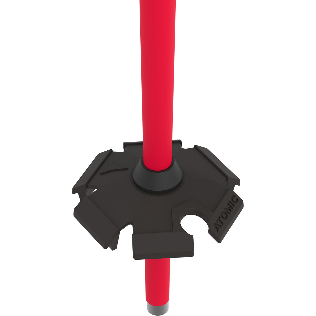 AMT Ski Poles