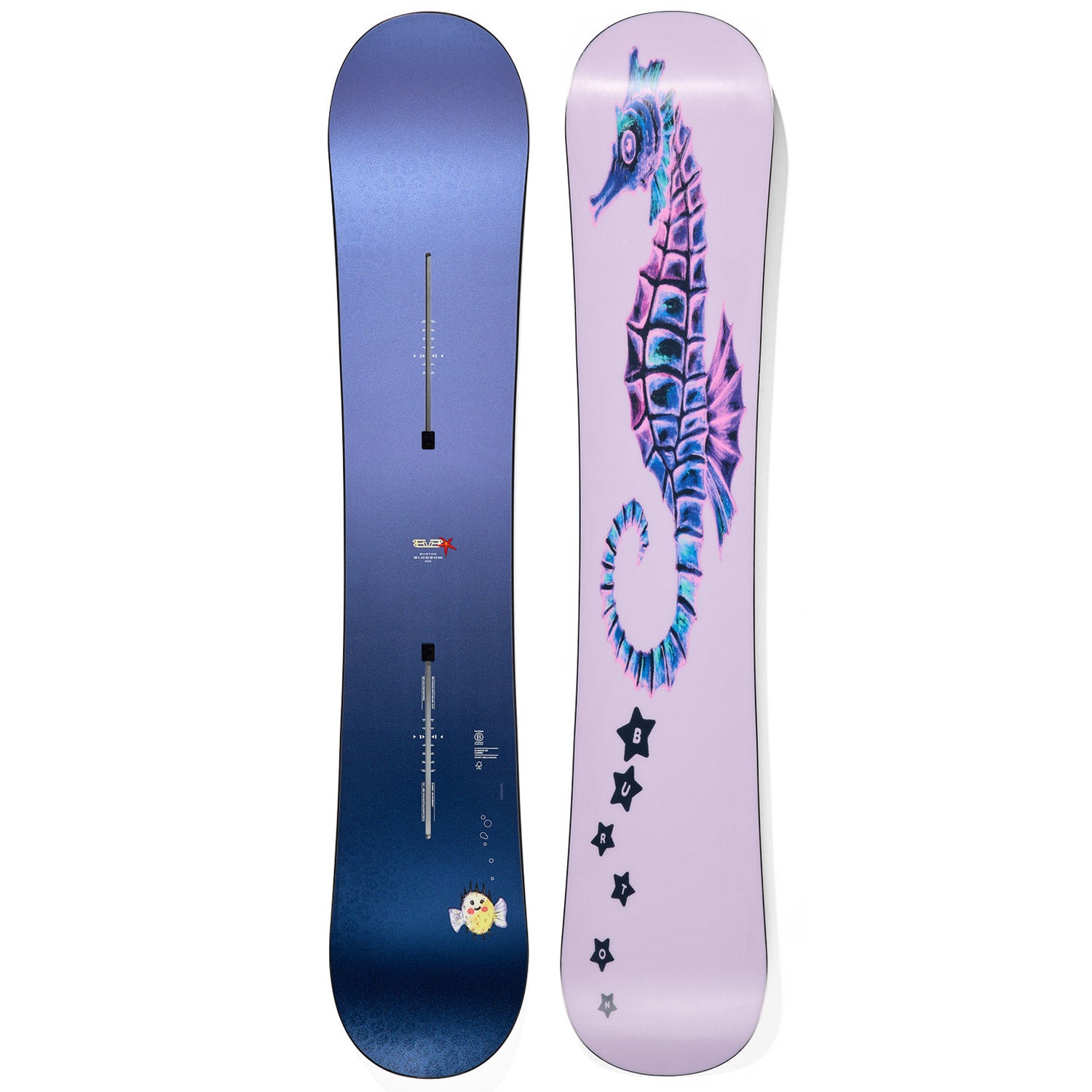 Blossom Seahorse Camber Snowboard