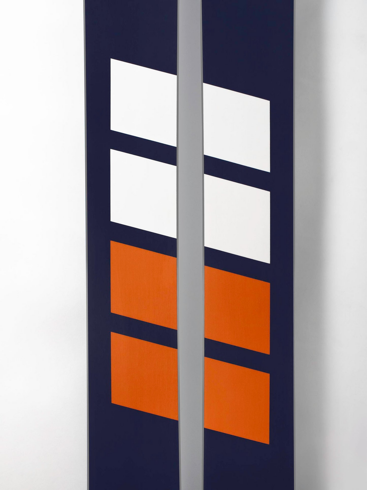 Resort 101 Skis 2026