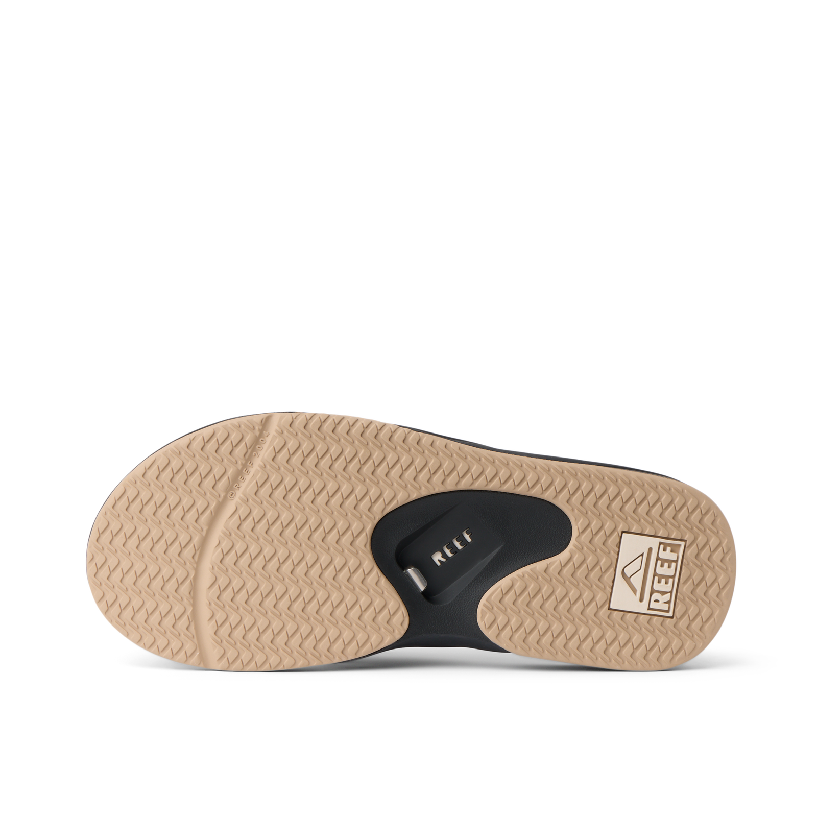 Fanning Fossil - Image 7