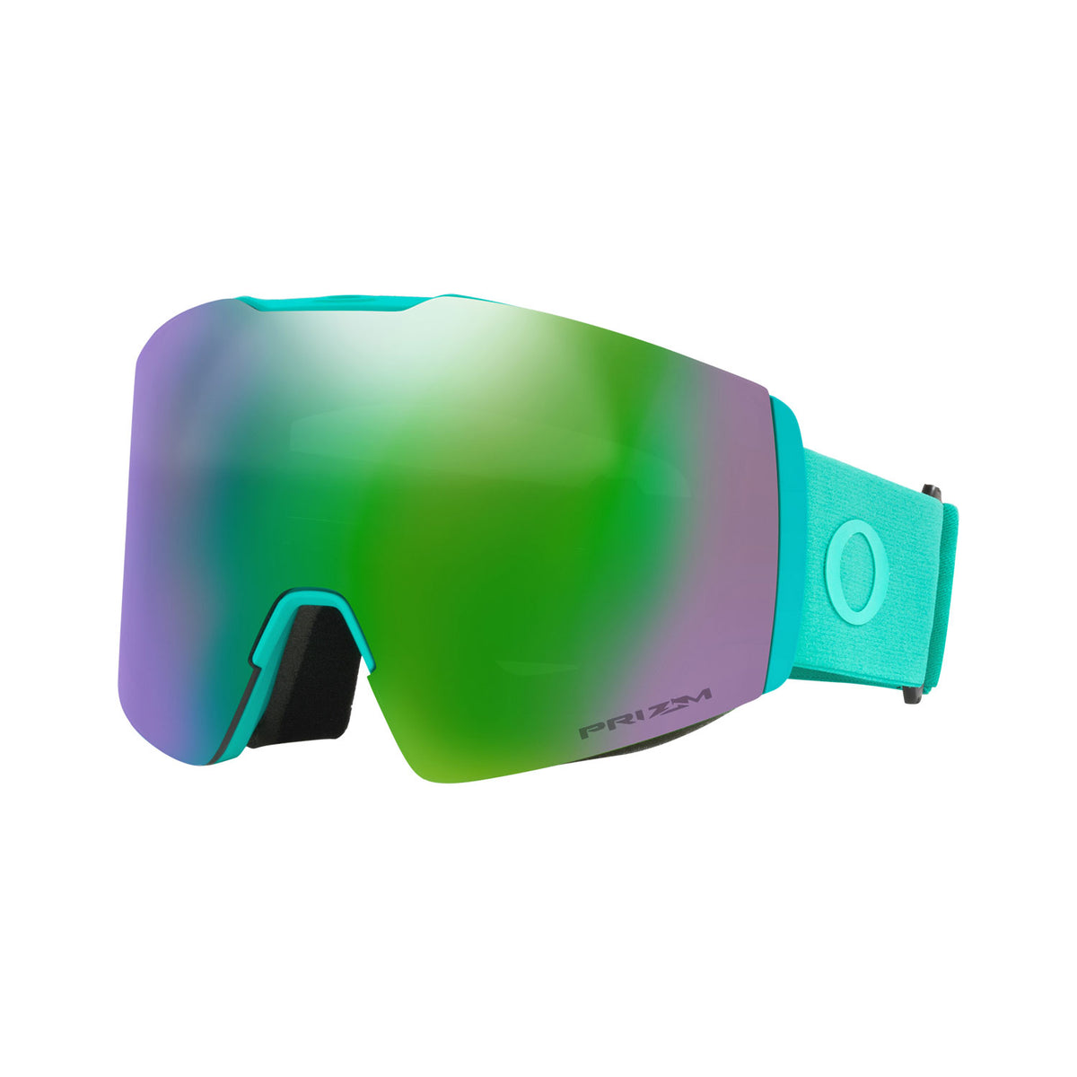 Fall Line L Snow Goggle
