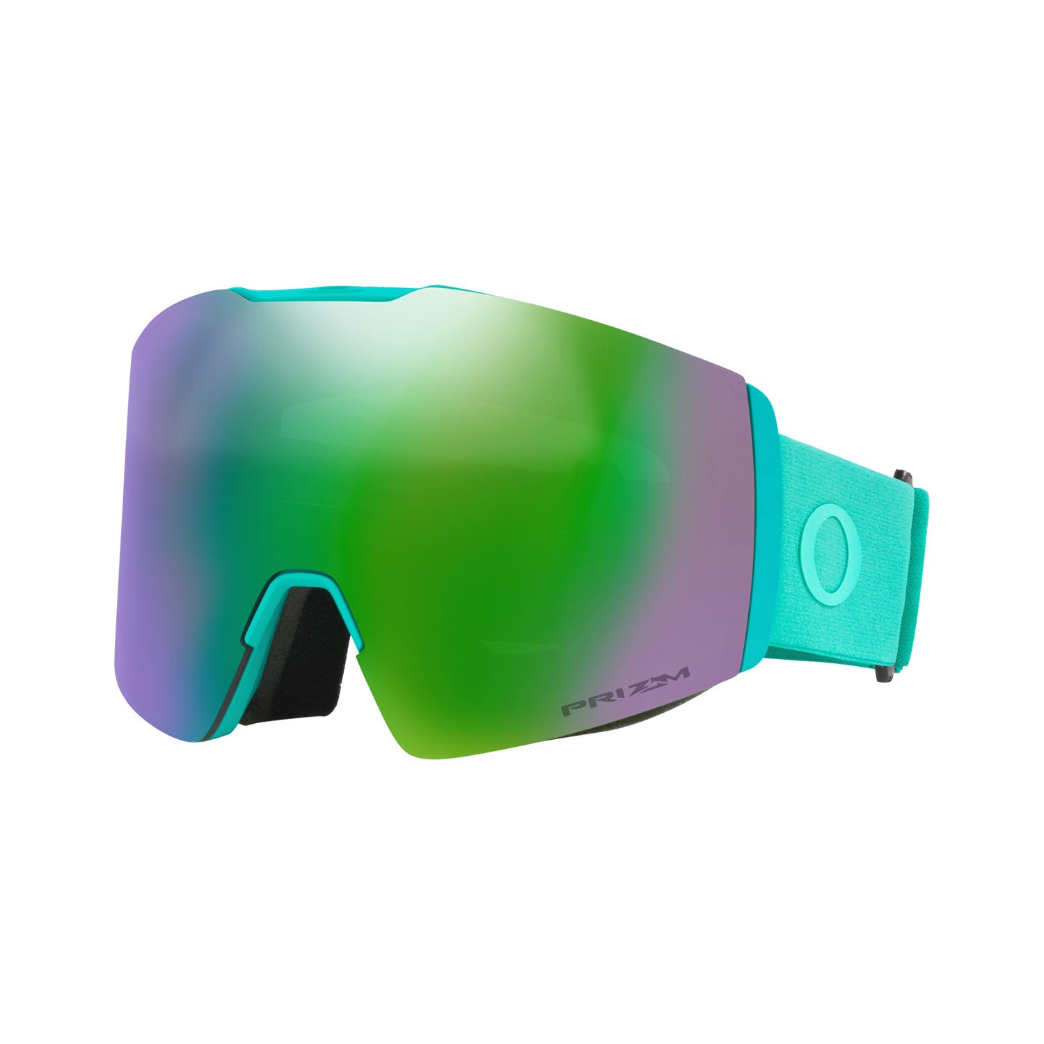 Fall Line L Snow Goggle