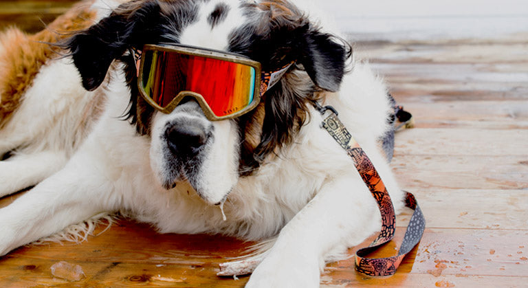 Goggles
