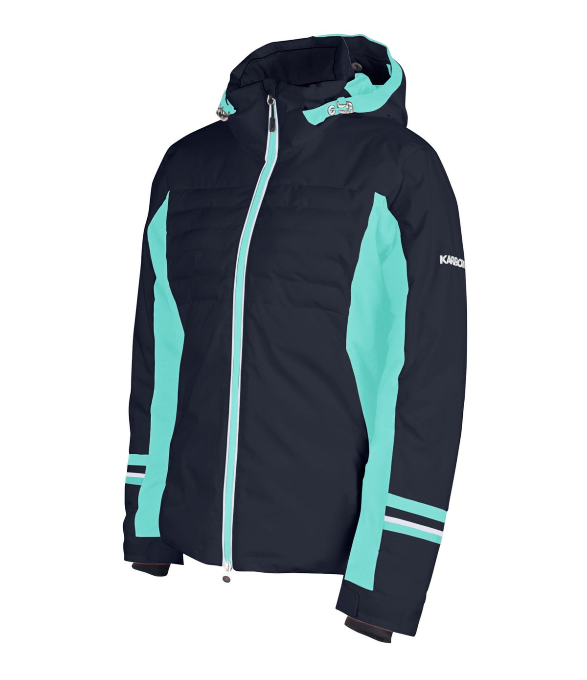 Dispersion Ladies Ski Jacket