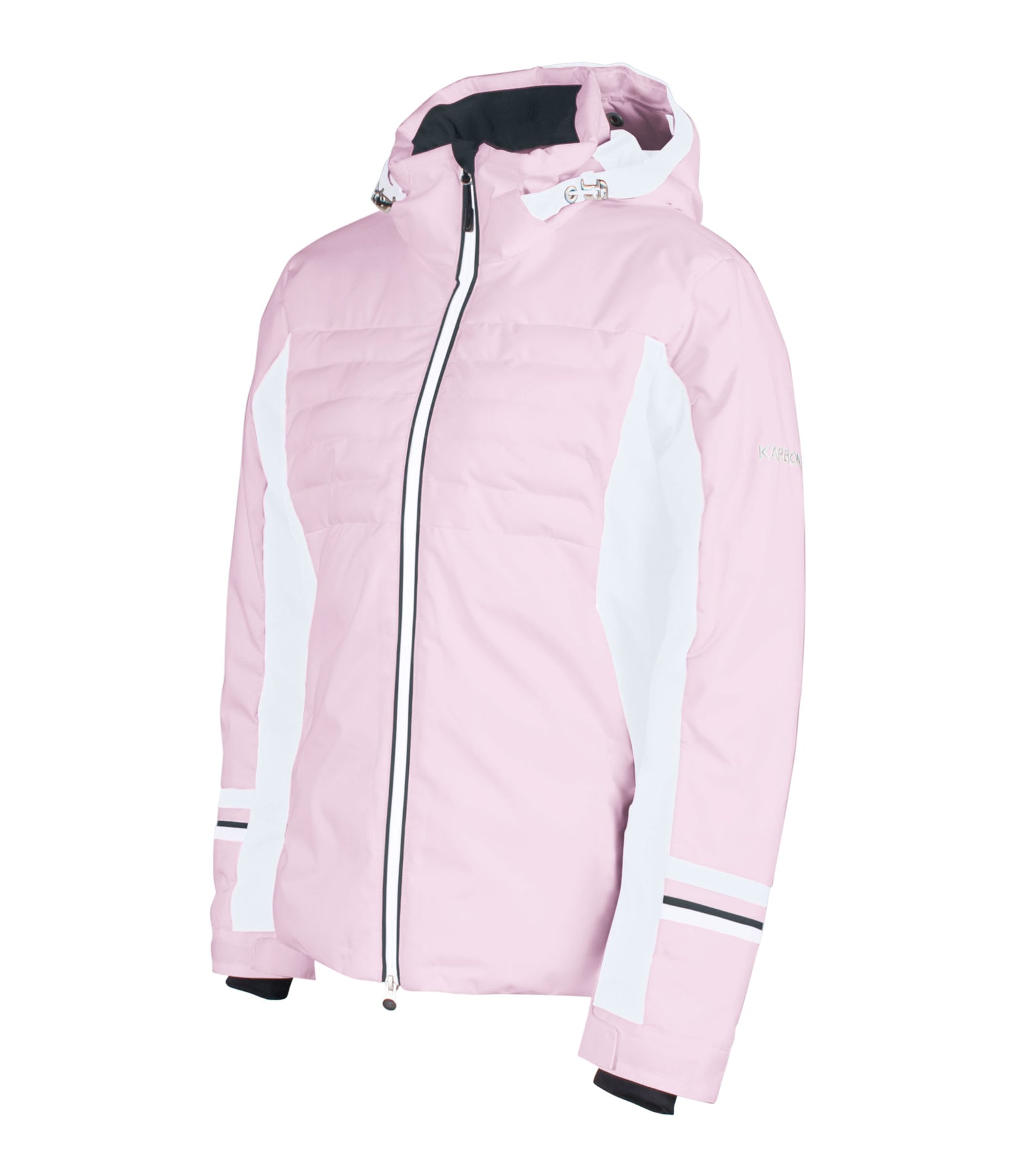 Dispersion Ladies Ski Jacket