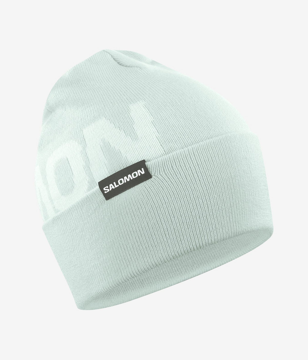 Hermitage Beanie