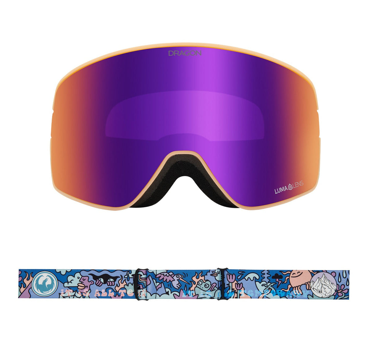 NFX2 LB Snow Goggle