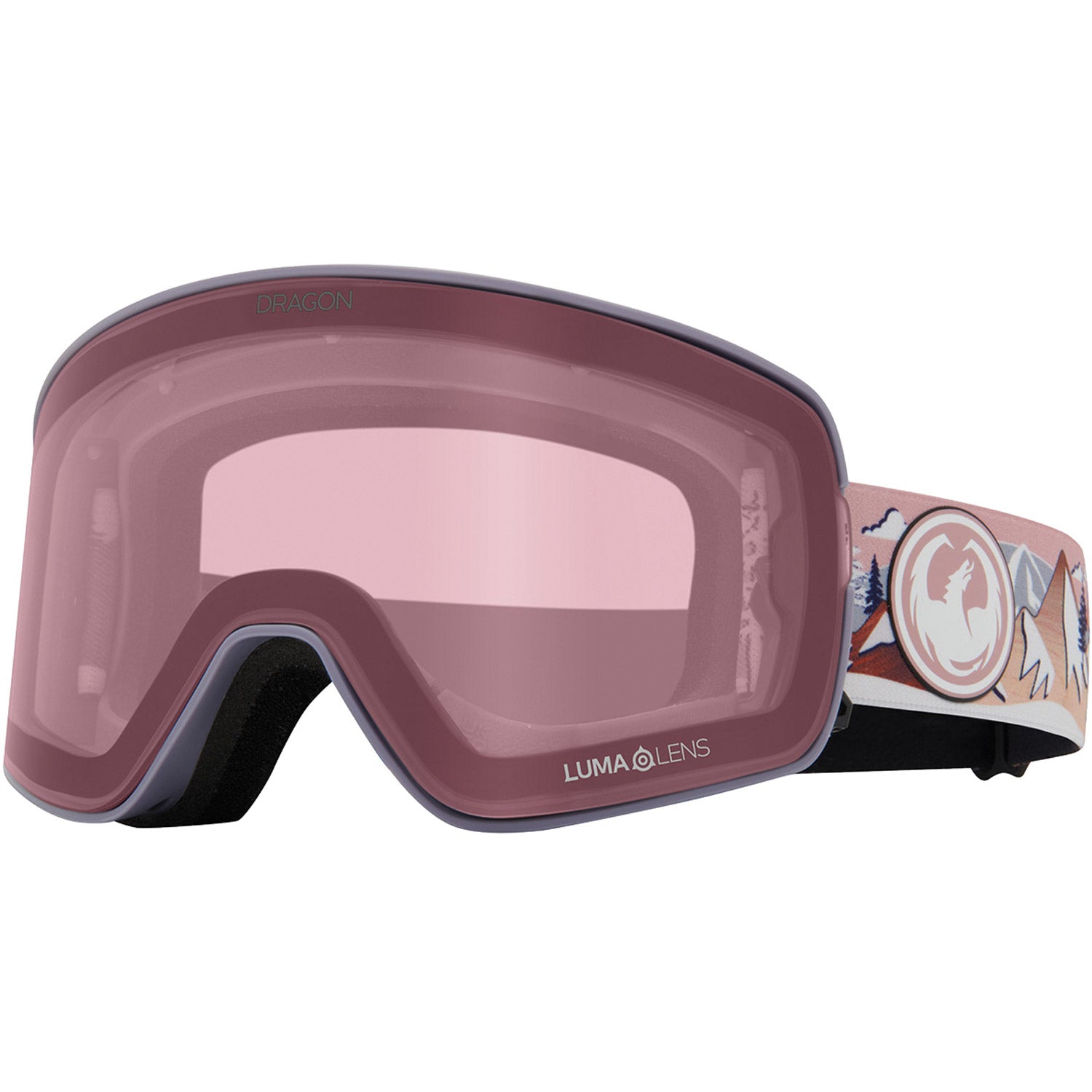 NFX2 Snow Goggle