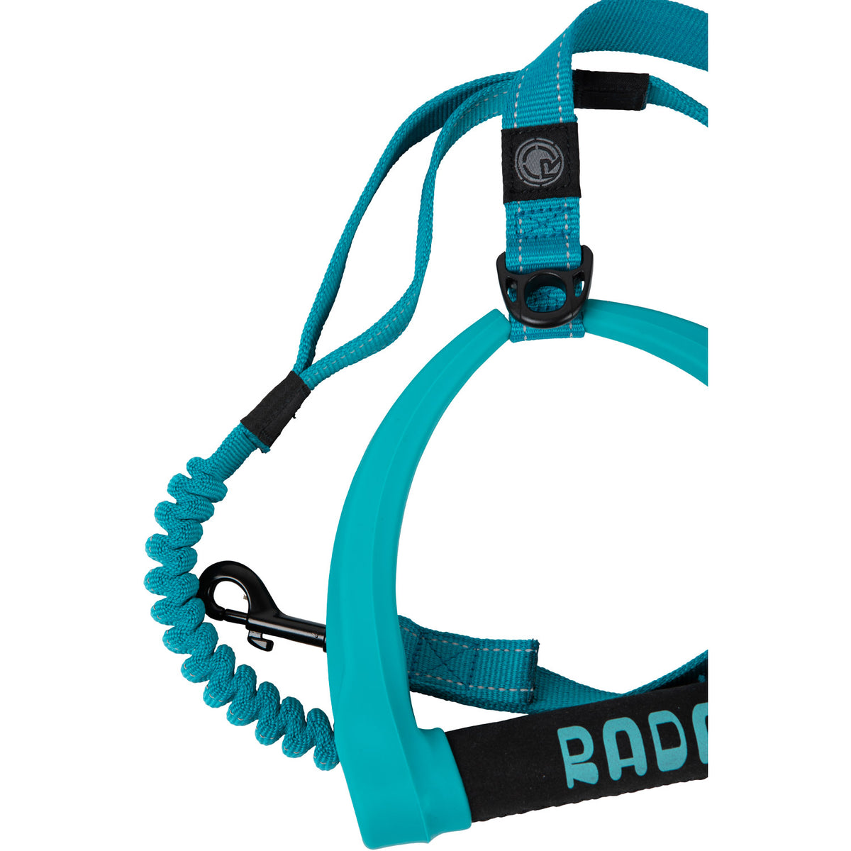 Dog Leash