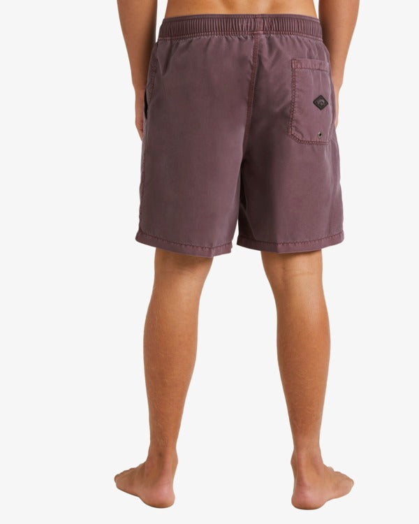 All Day Overdye Layback Boardshorts