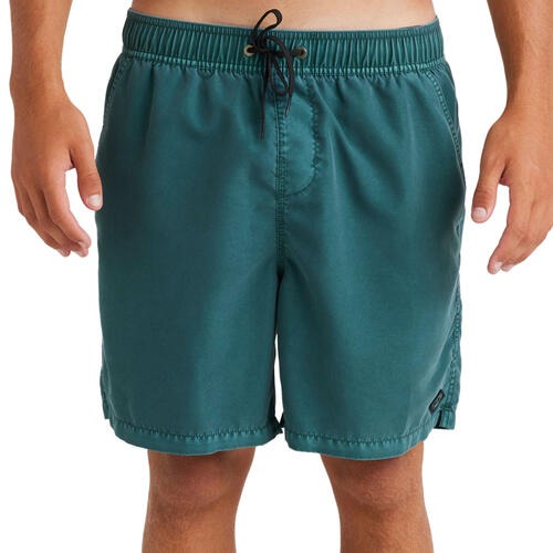 All Day Overdye Layback Boardshorts