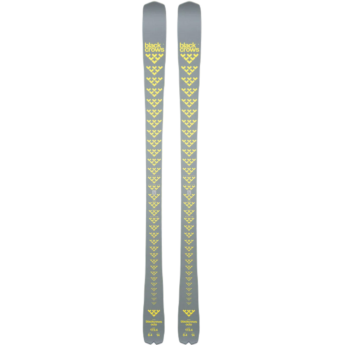 Octo Skis 2025