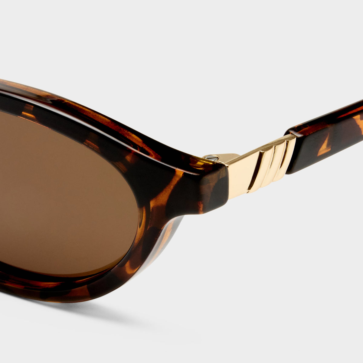 Duskfall Tort - Brown Mono Lens - Image 4