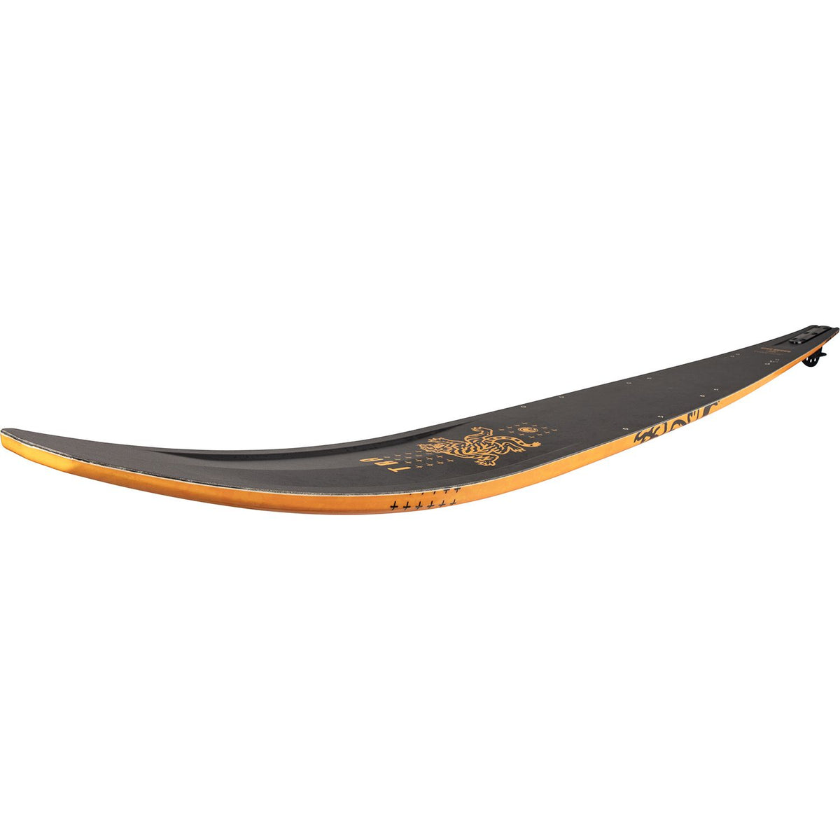 Tra Matte Black / Tiger Yellow - Image 5