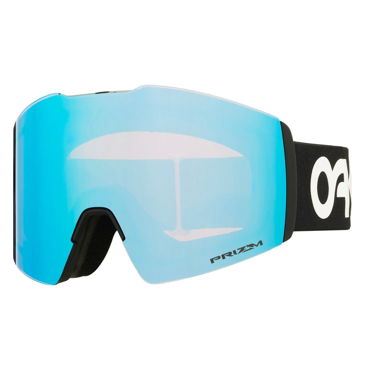 Fall Line L Snow Goggle