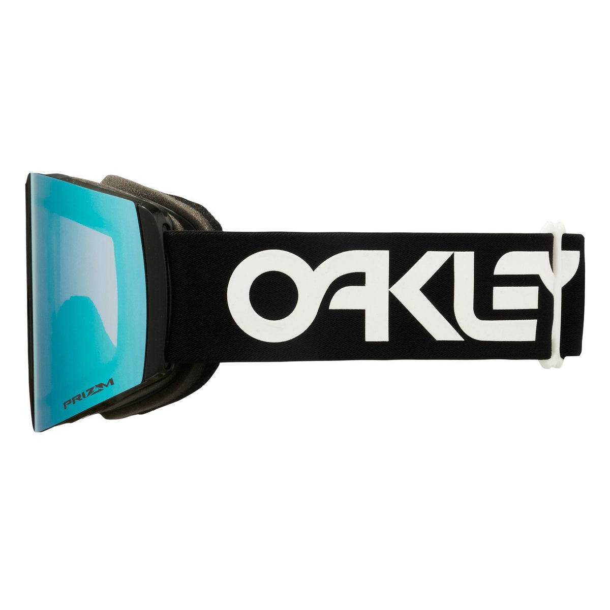 Fall Line L Snow Goggle