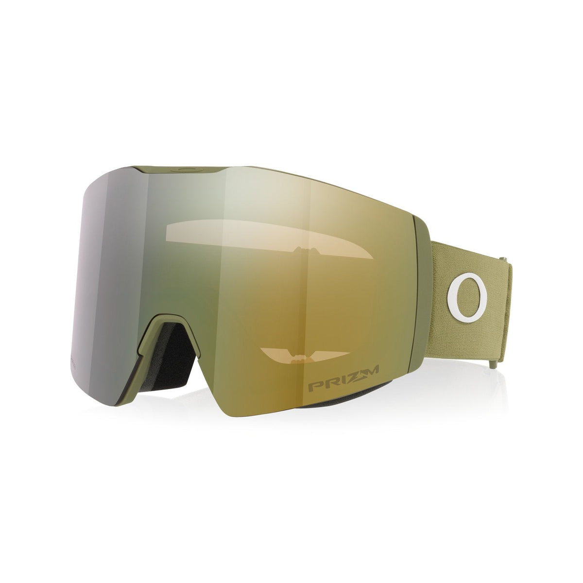 Fall Line L Snow Goggle
