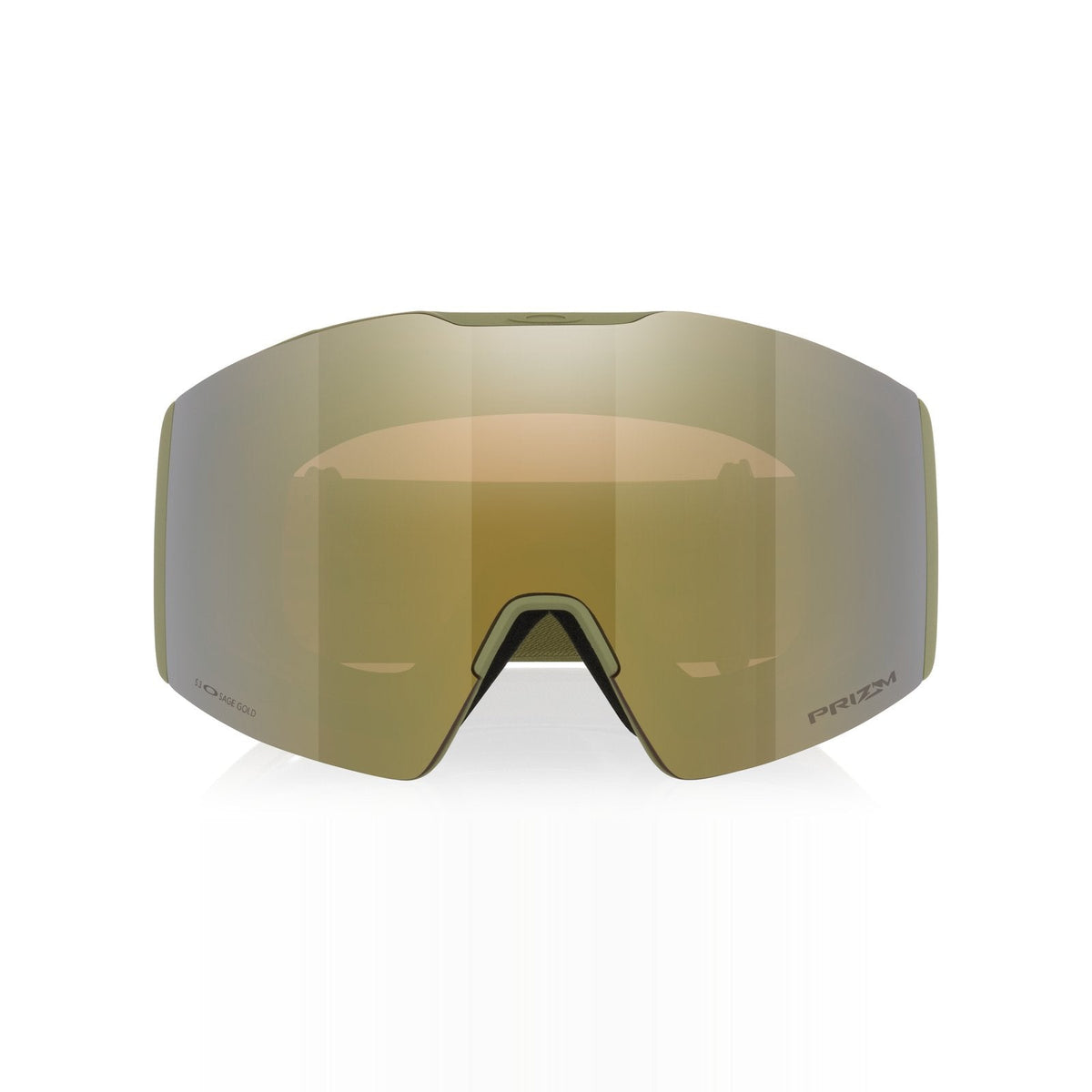 Fall Line L Snow Goggle