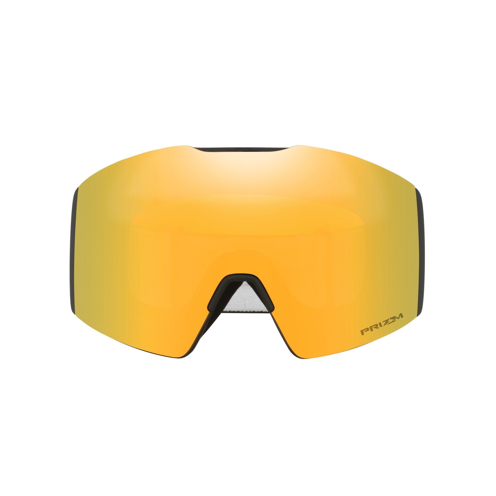 Fall Line L Snow Goggle