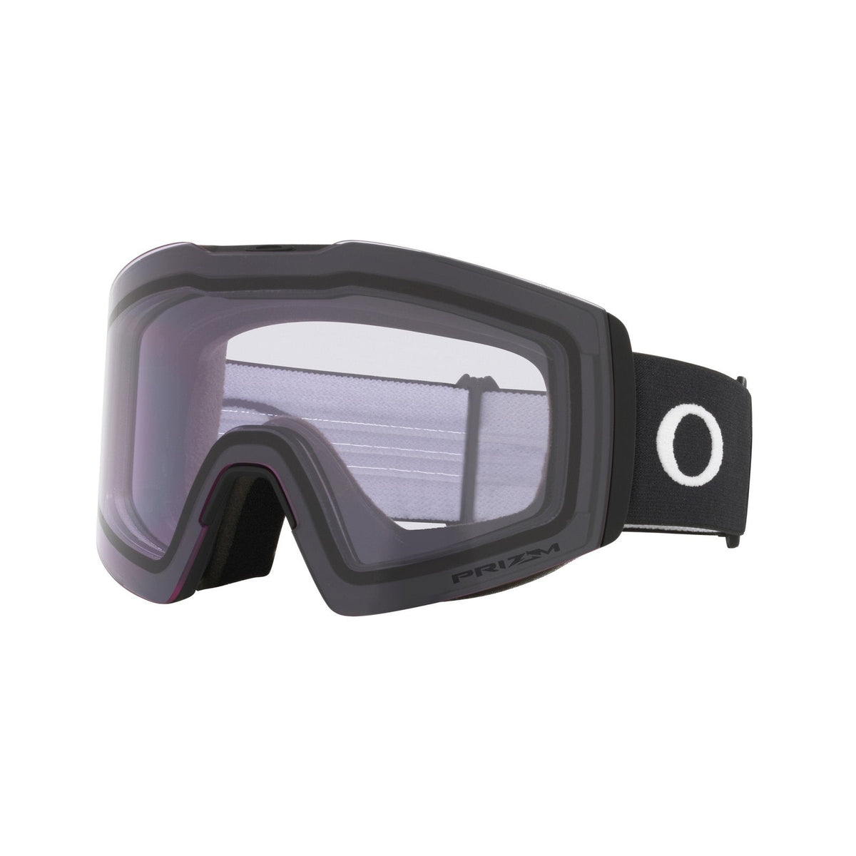 Fall Line L Snow Goggle