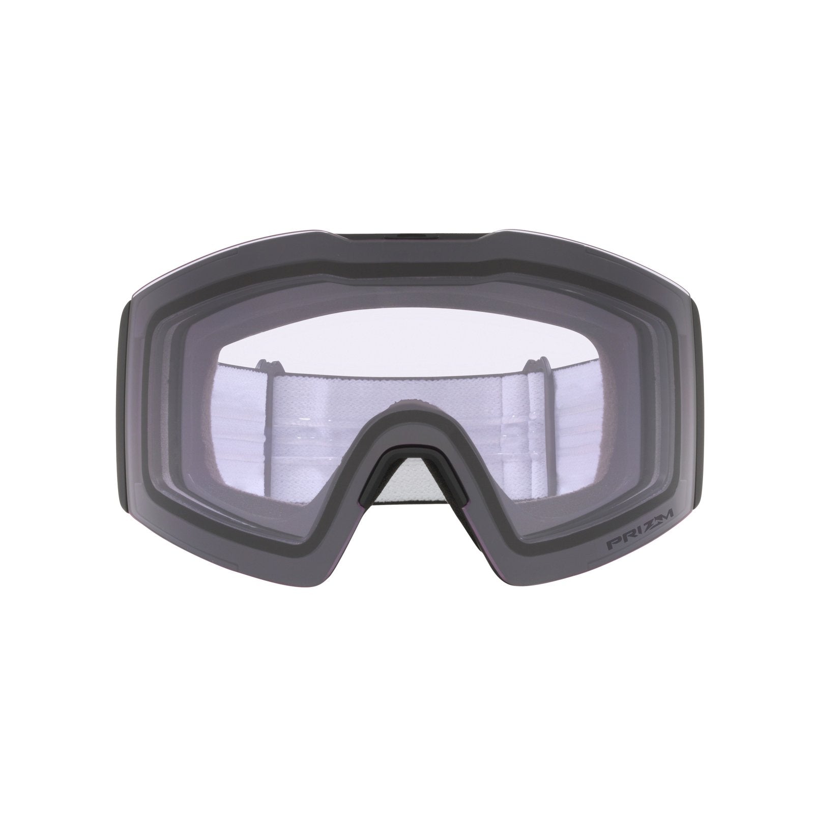 Fall Line L Snow Goggle