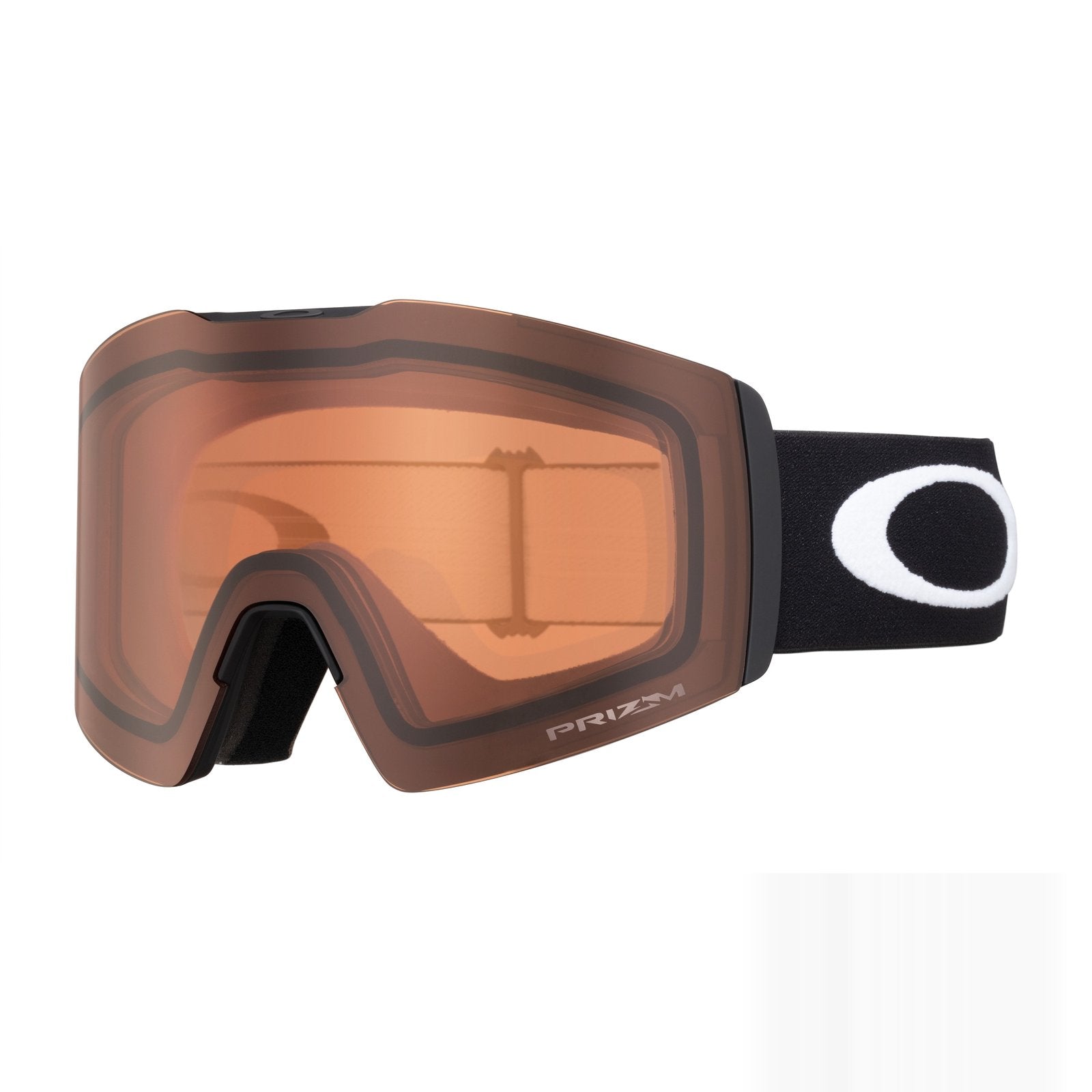 Fall Line L Snow Goggle