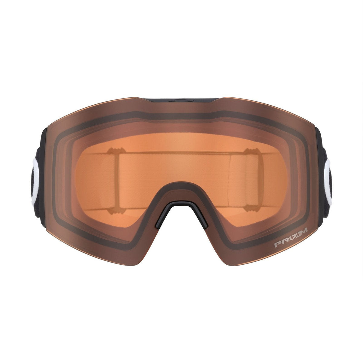 Fall Line L Snow Goggle