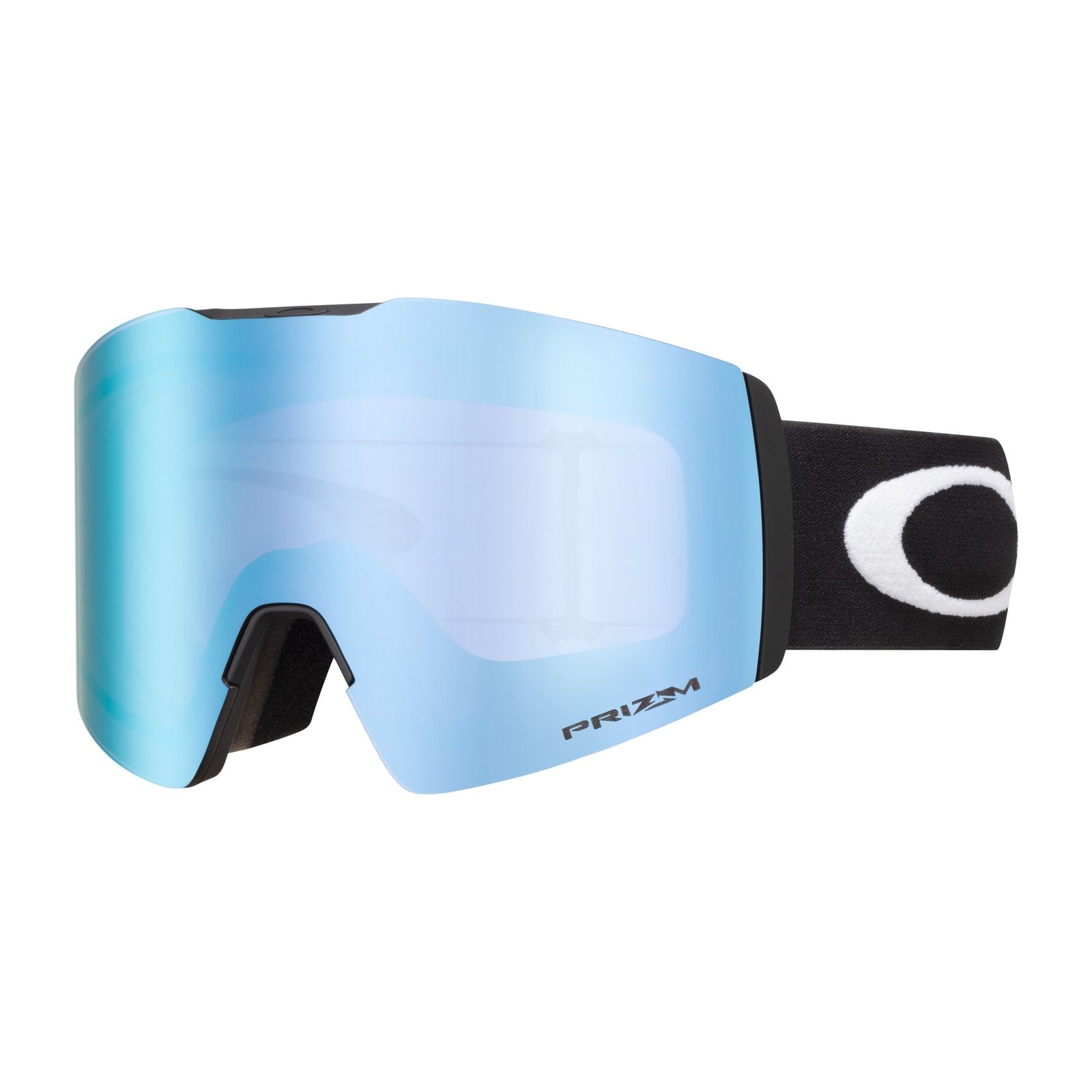 Fall Line L Snow Goggle