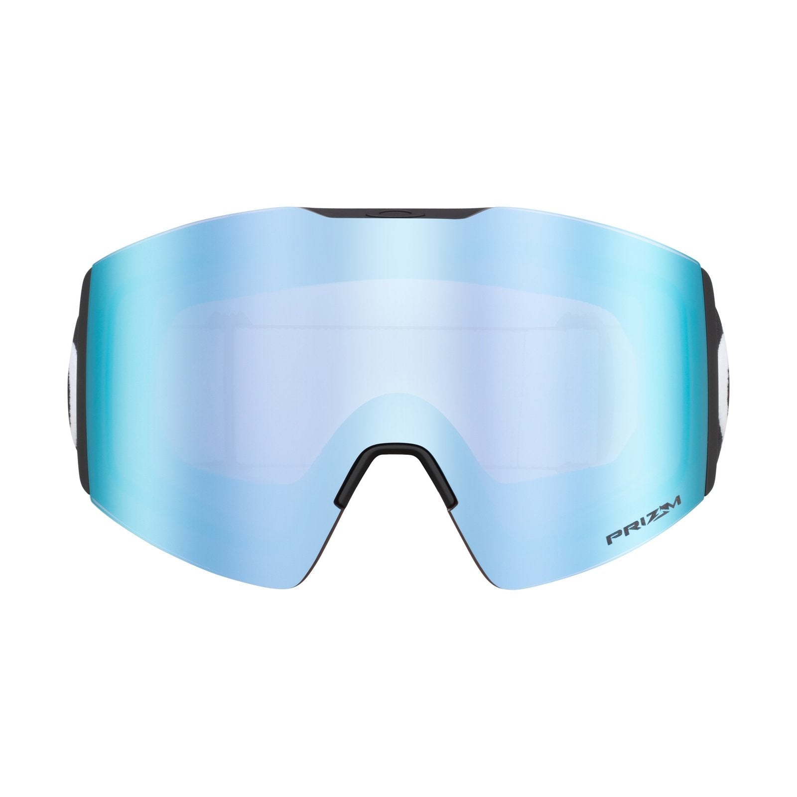 Fall Line L Snow Goggle