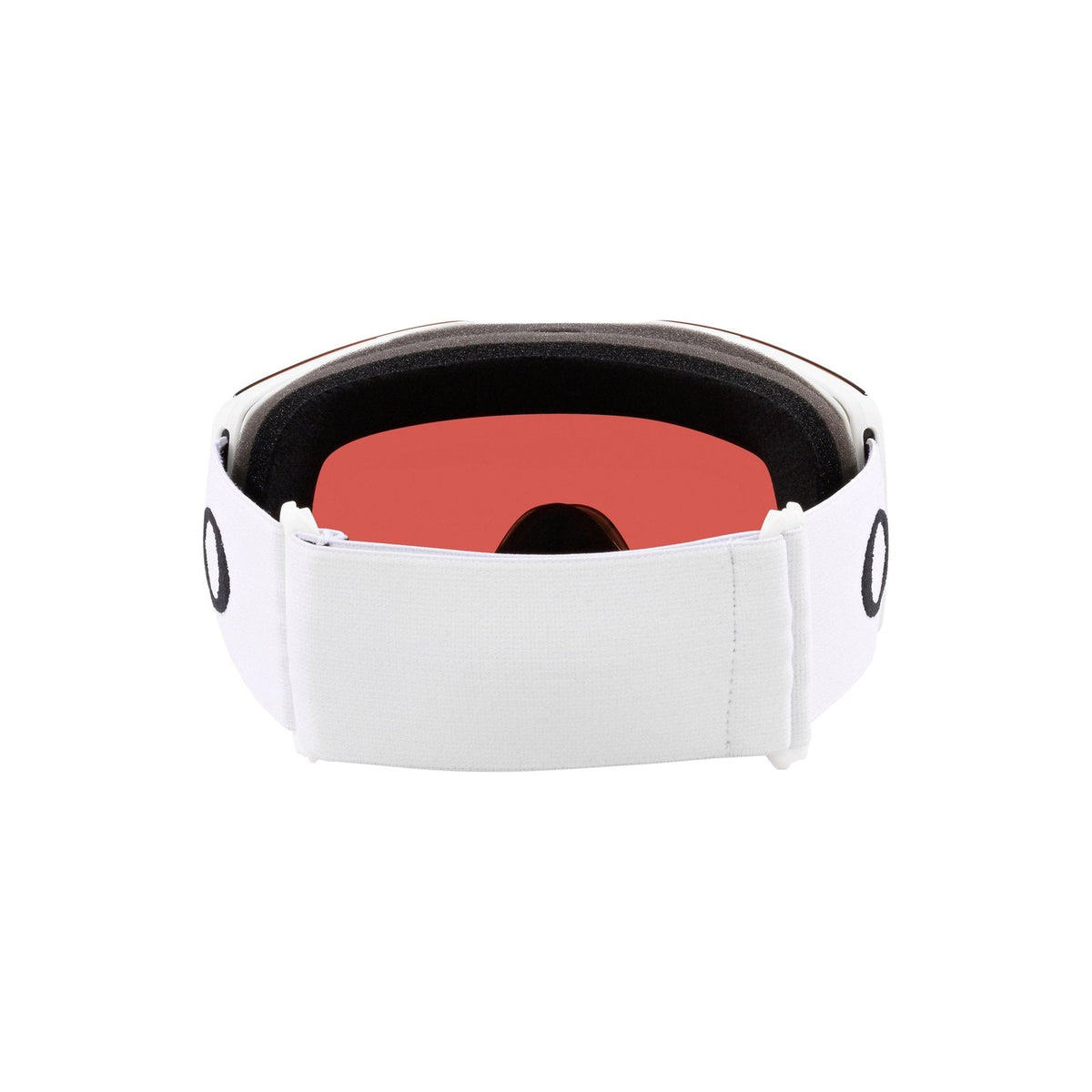 Fall Line L Snow Goggle