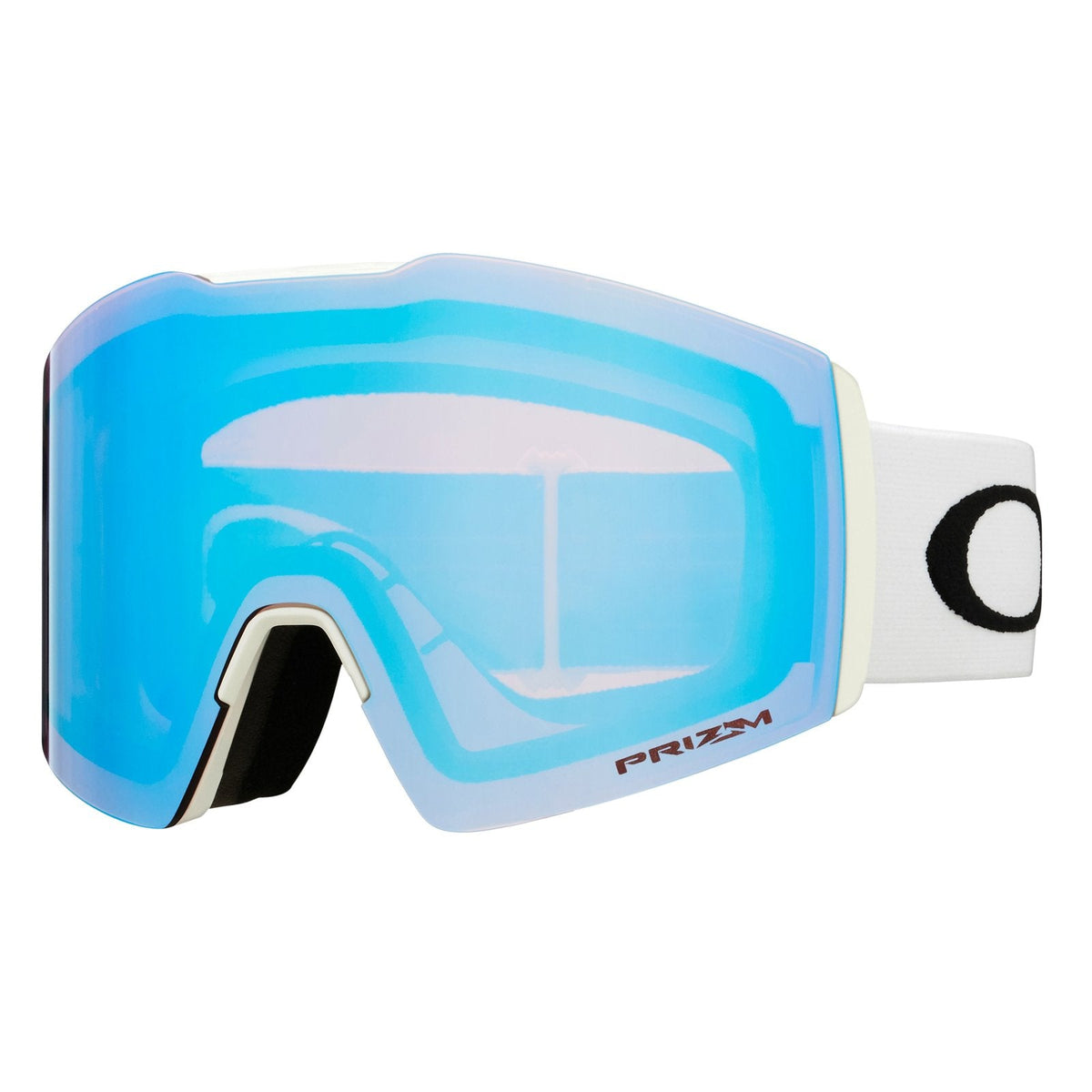 Fall Line L Snow Goggle