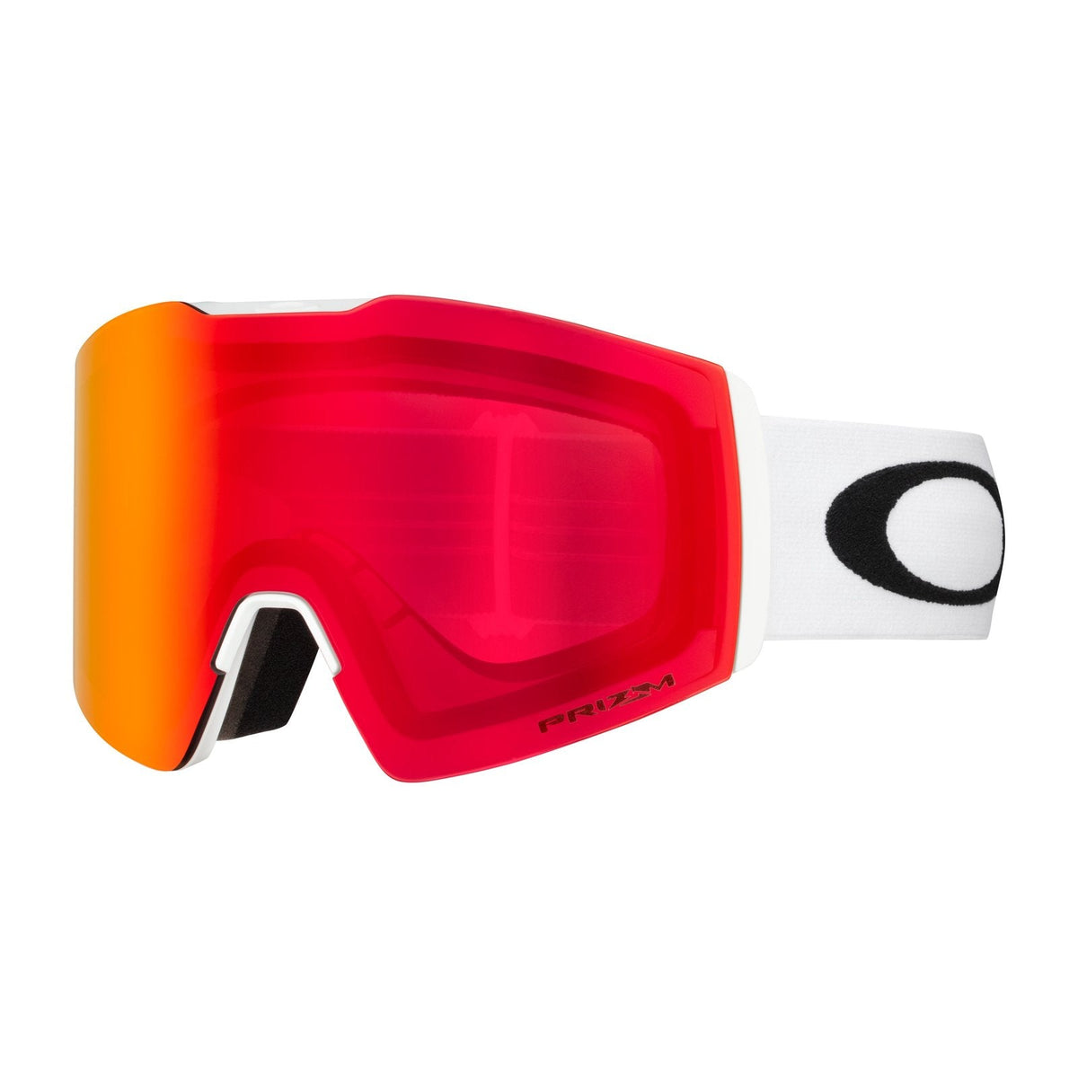 Fall Line L Snow Goggle